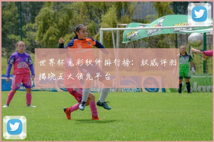 世界杯竞彩软件排行榜：权威评测揭晓五大领先平台