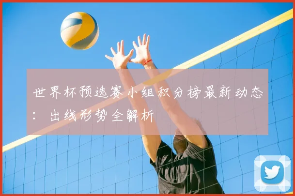 世界杯预选赛小组积分榜最新动态：出线形势全解析